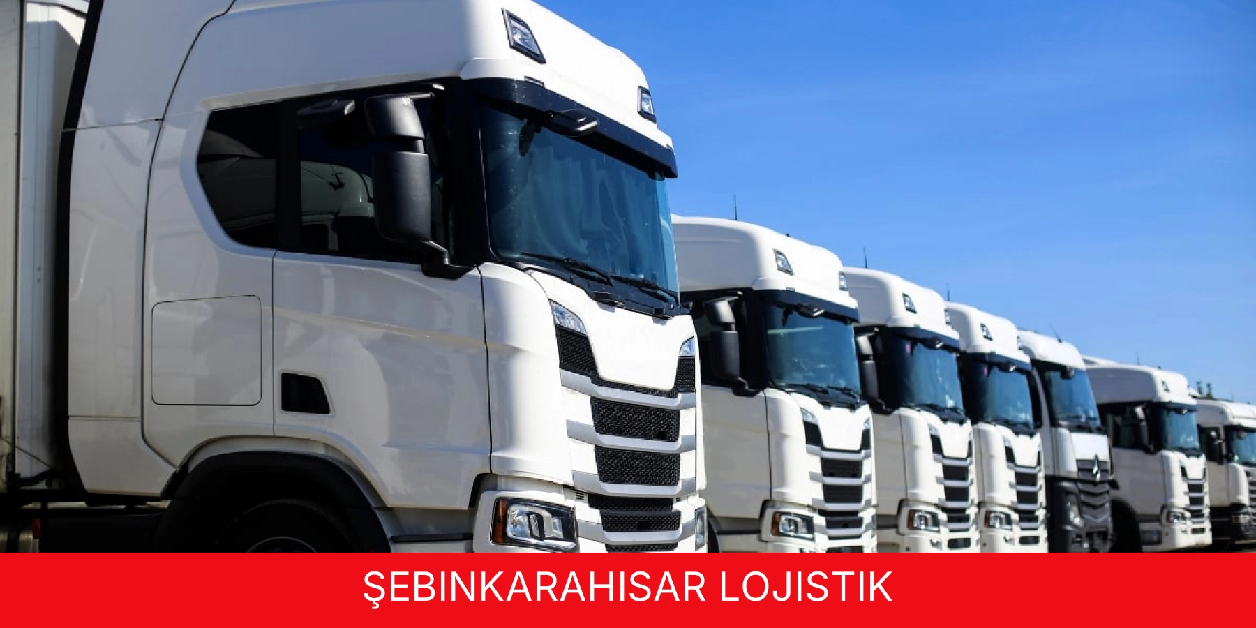 Şebinkarahisar Lojistik