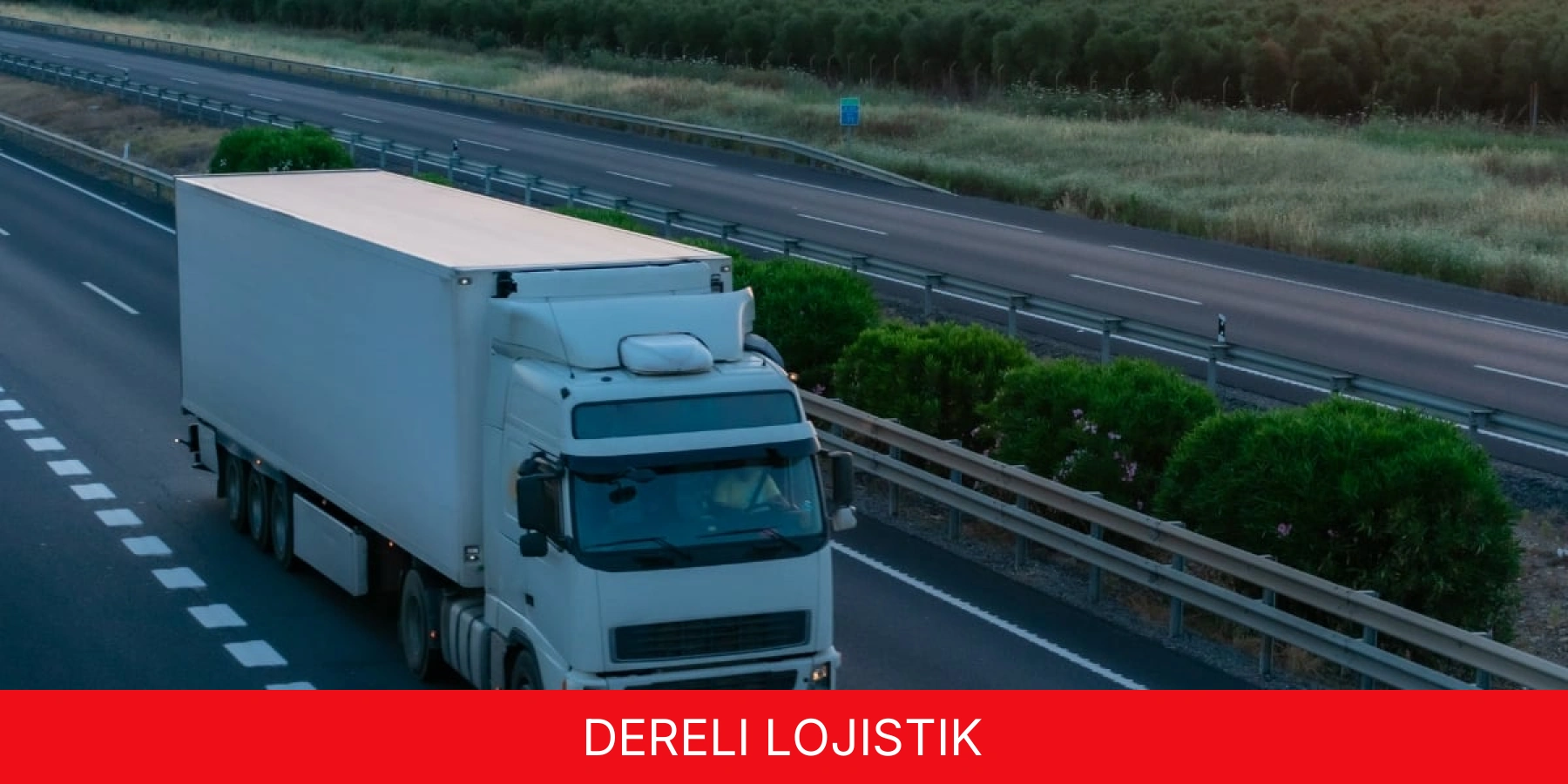 Dereli Lojistik
