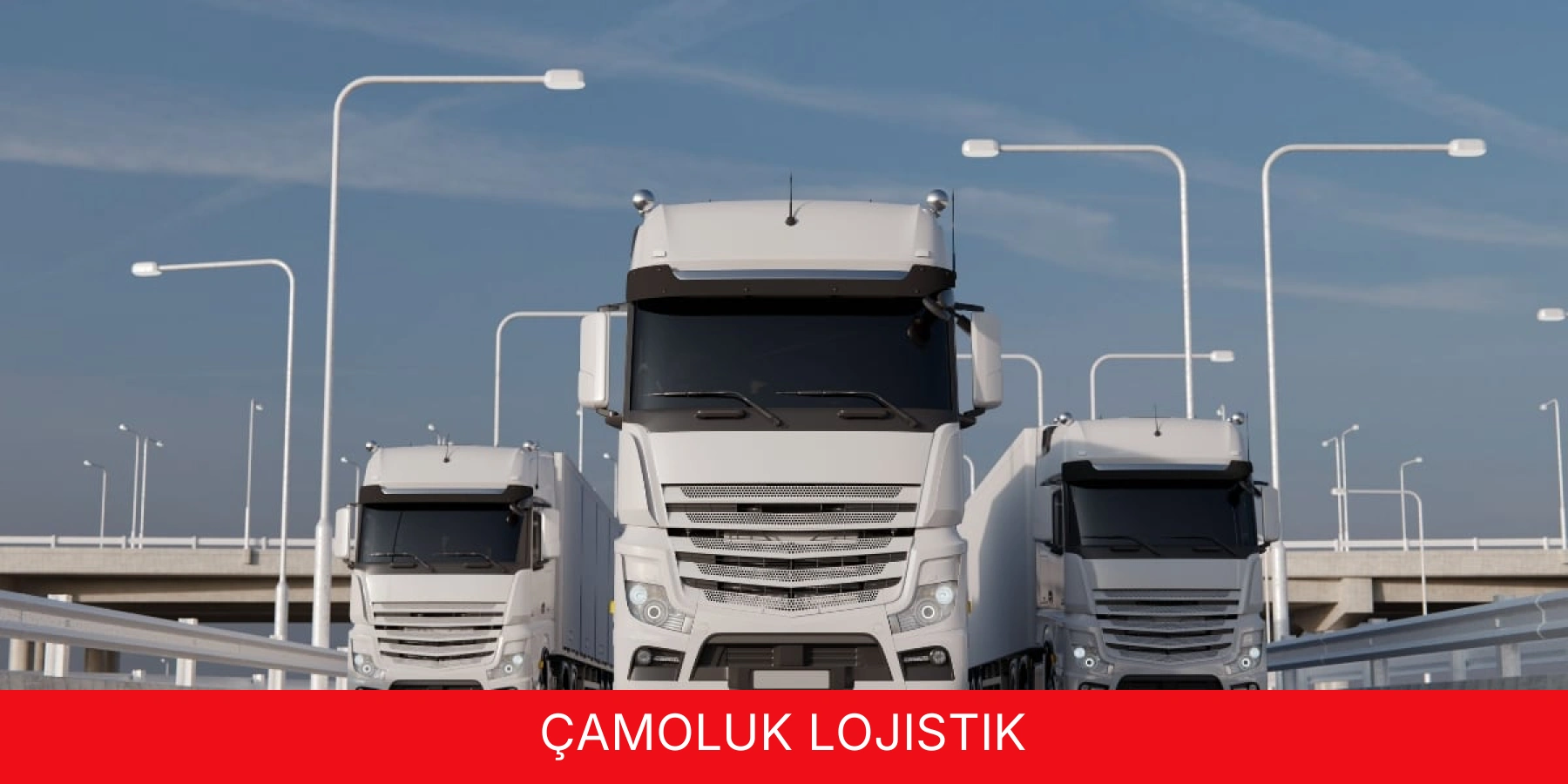 Çamoluk Lojistik