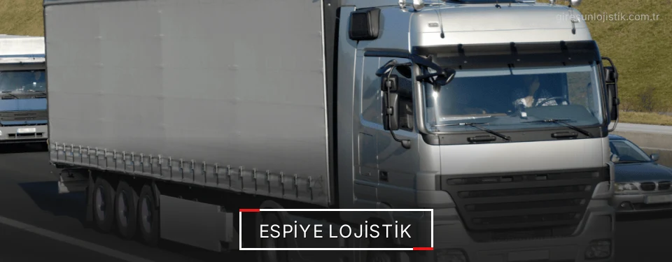 Espiye Lojistik Kargo