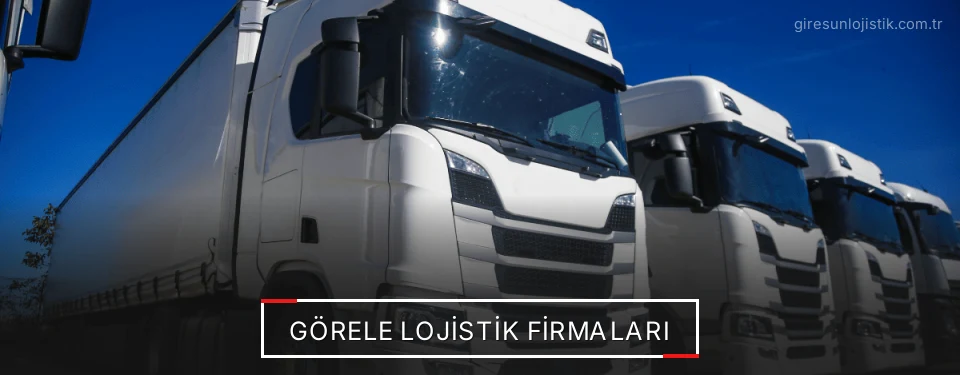 Görele Lojistik Taşımacılık