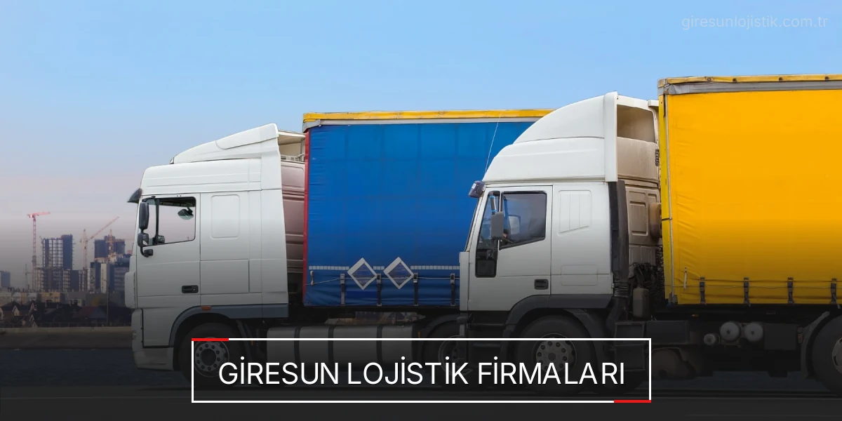 İstanbul Giresun Lojistik Hızlı Teslimat ve Güvenli Depolama