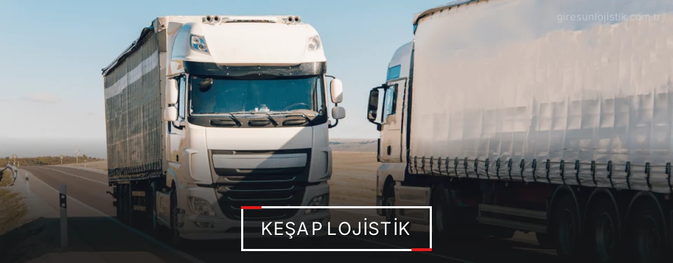 Keşap Lojistik